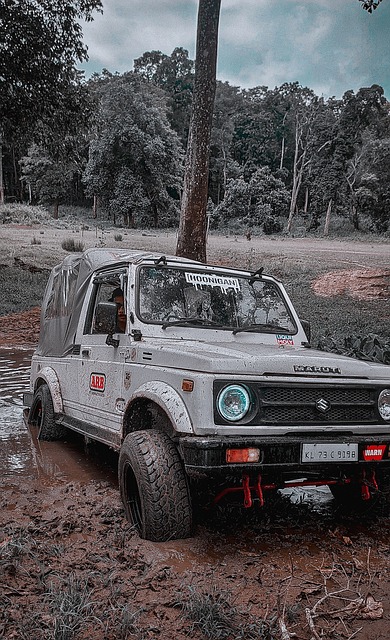 9球体育直播在线观看